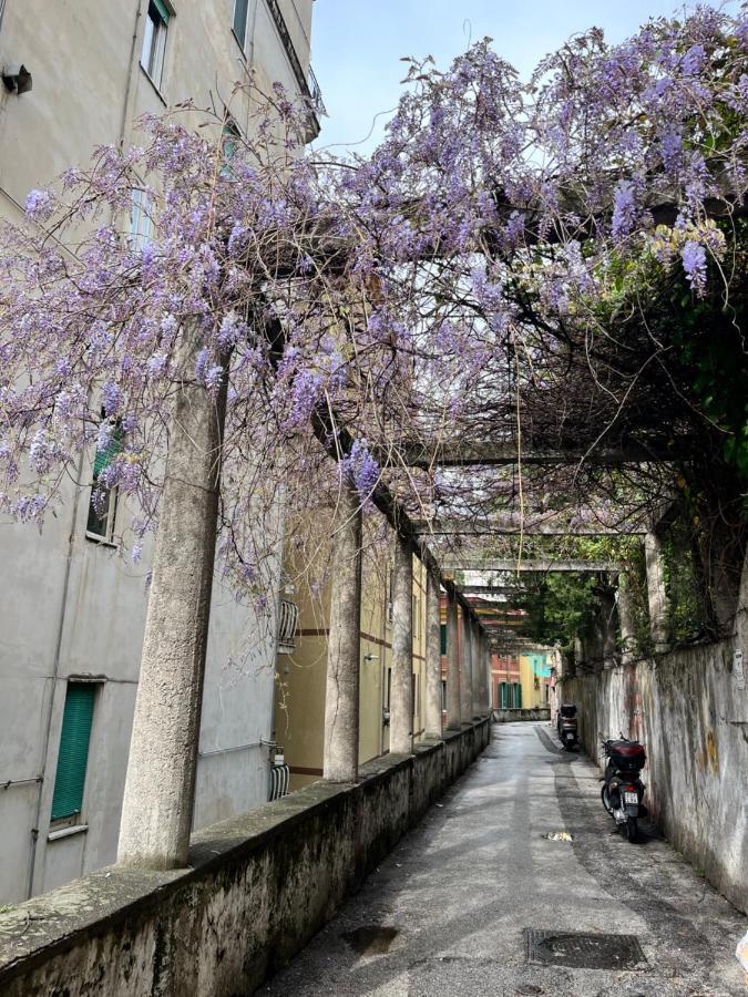 The Secret Garden Apartment Salerno Exterior photo